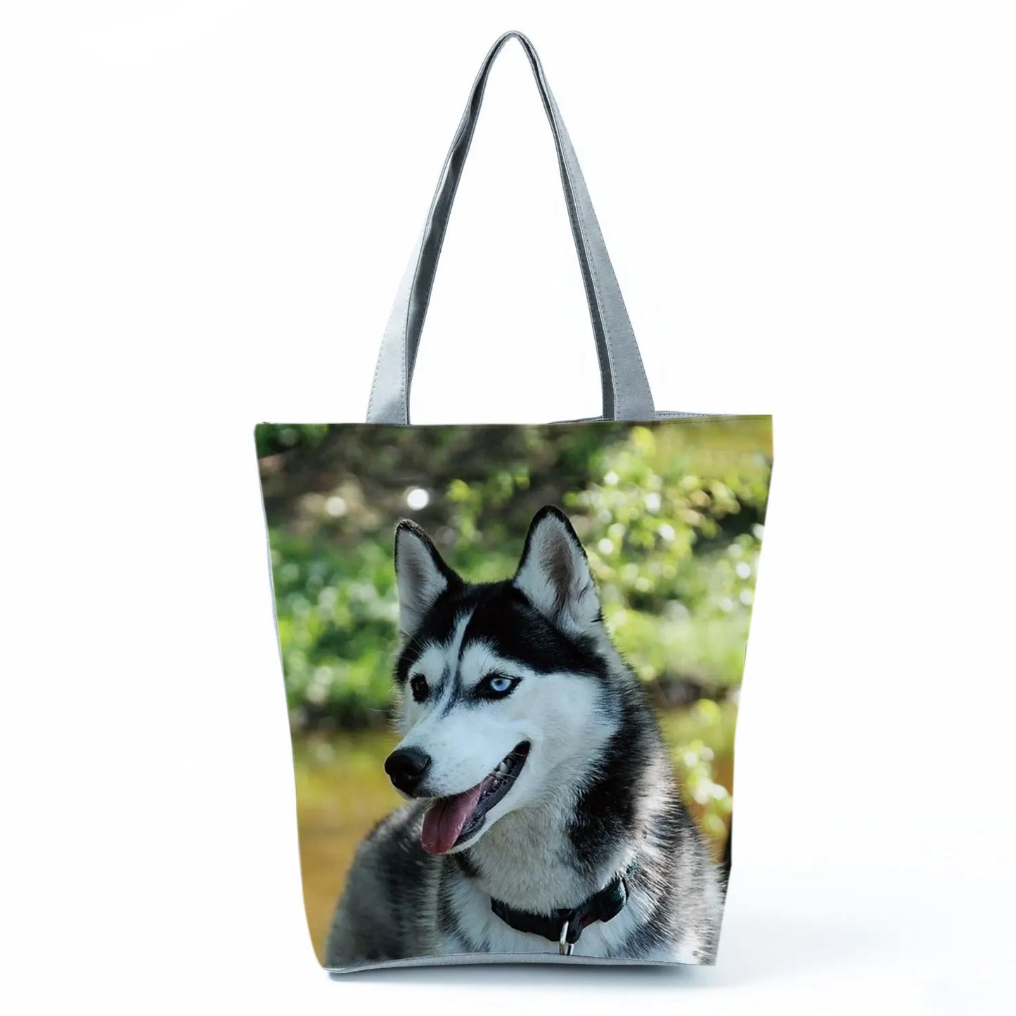 Borsa Cani Maggio 2026