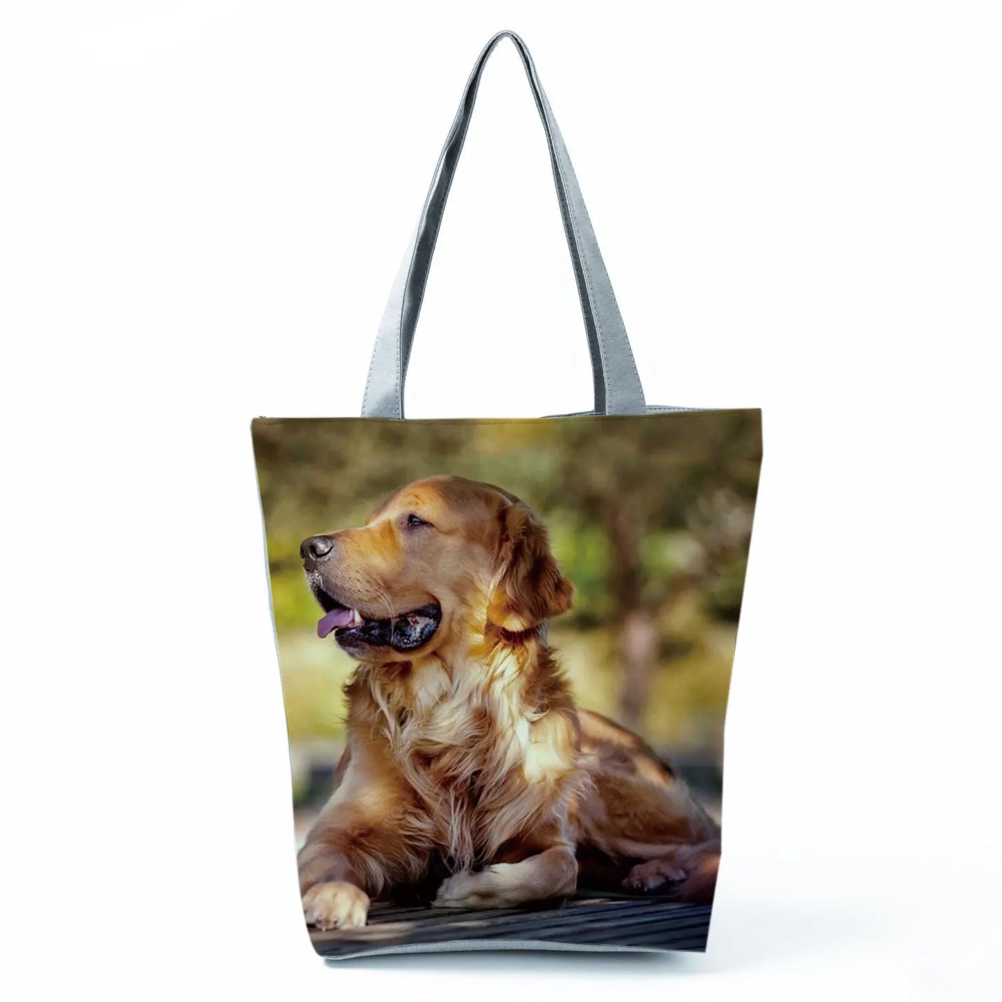 Borsa Cani Maggio 2026