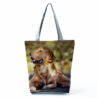 Borsa Cani Maggio 2026