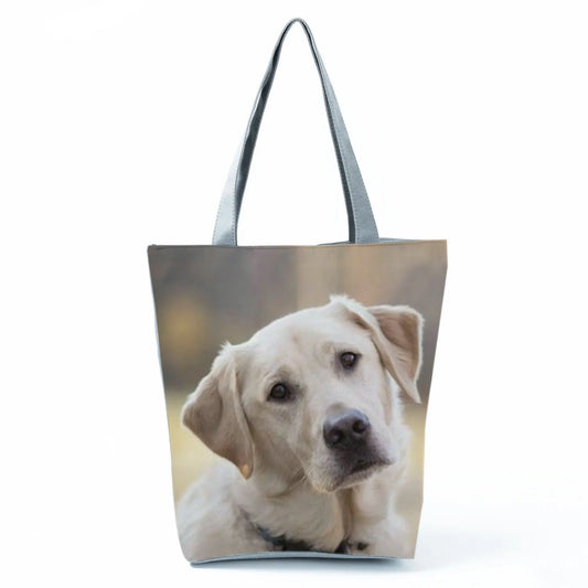 Borsa Cani Maggio 2026