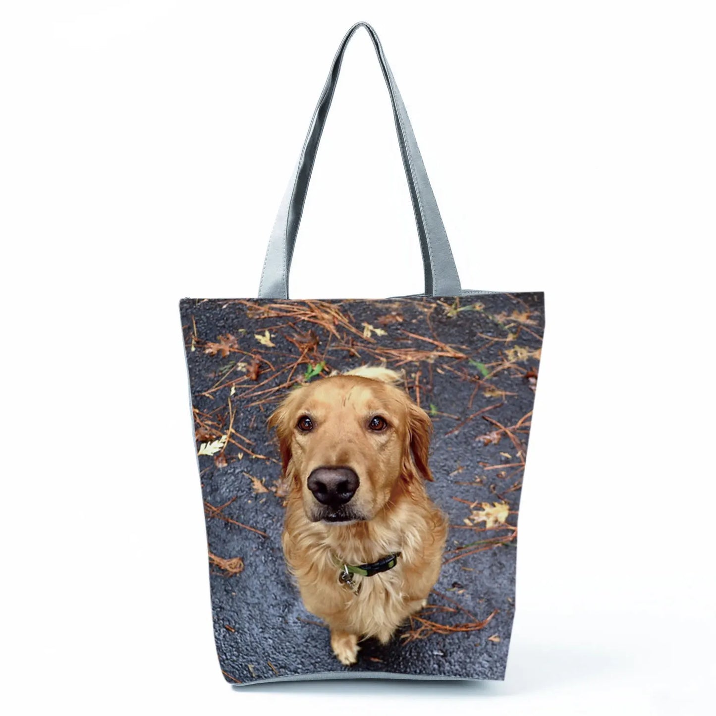 Borsa Cani Maggio 2026