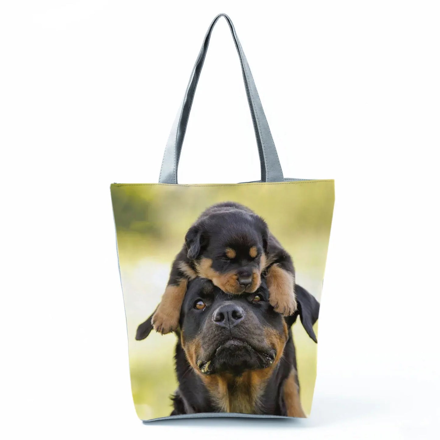 Borsa Cani Maggio 2026