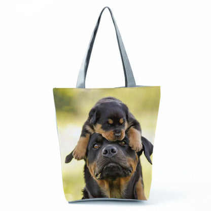 Borsa Cani Maggio 2026