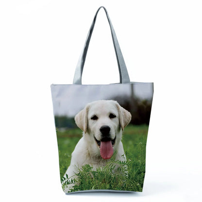 Borsa Cani Maggio 2026
