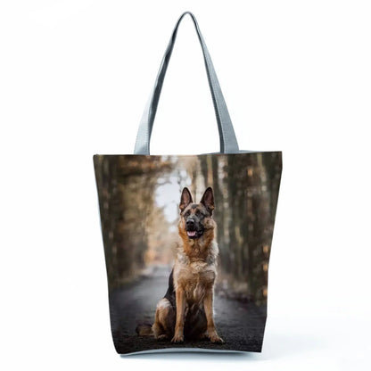 Borsa Cani Maggio 2026