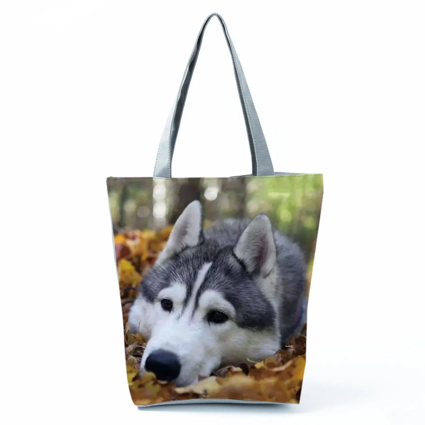 Borsa Cani Maggio 2026