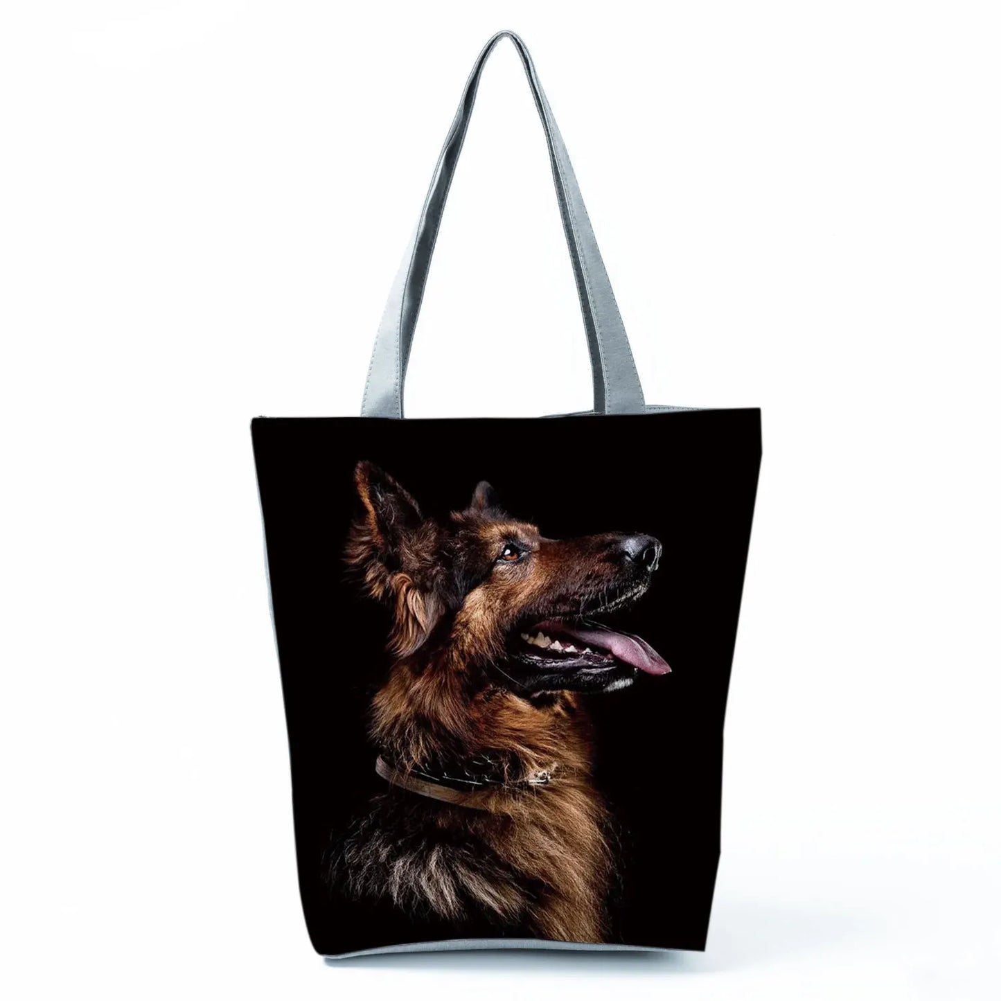 Borsa Cani Maggio 2026