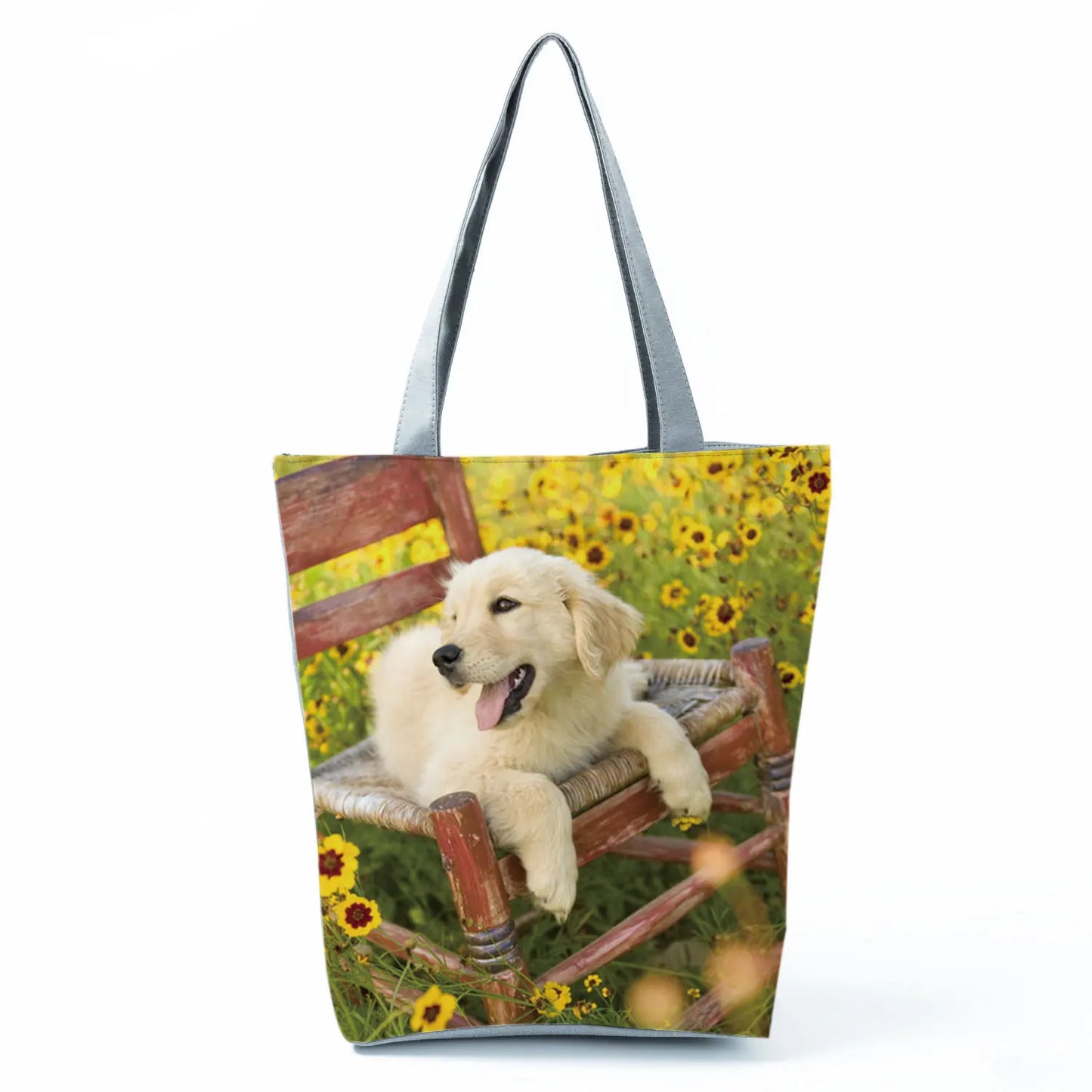 Borsa Cani Maggio 2026