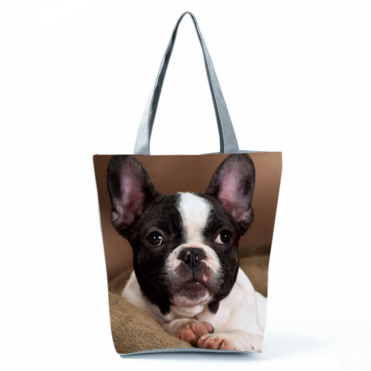 Borsa Cani Maggio 2026