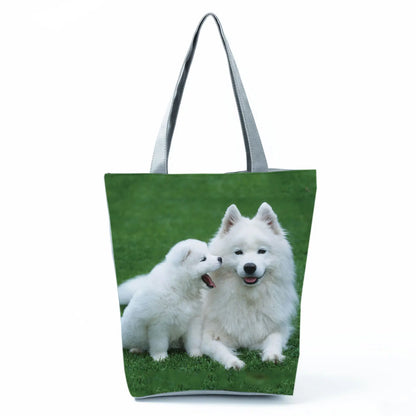 Borsa Cani Maggio 2026