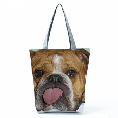 Borsa Cani Maggio 2026