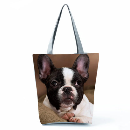 Borsa Cani Maggio 2026