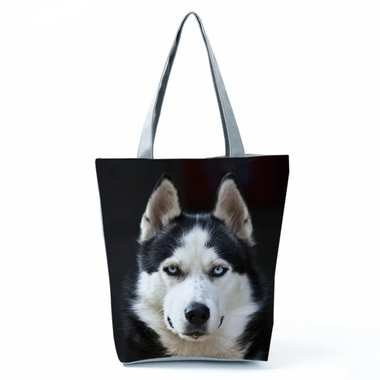 Borsa Cani Maggio 2026