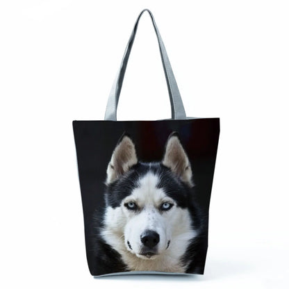 Borsa Cani Maggio 2026