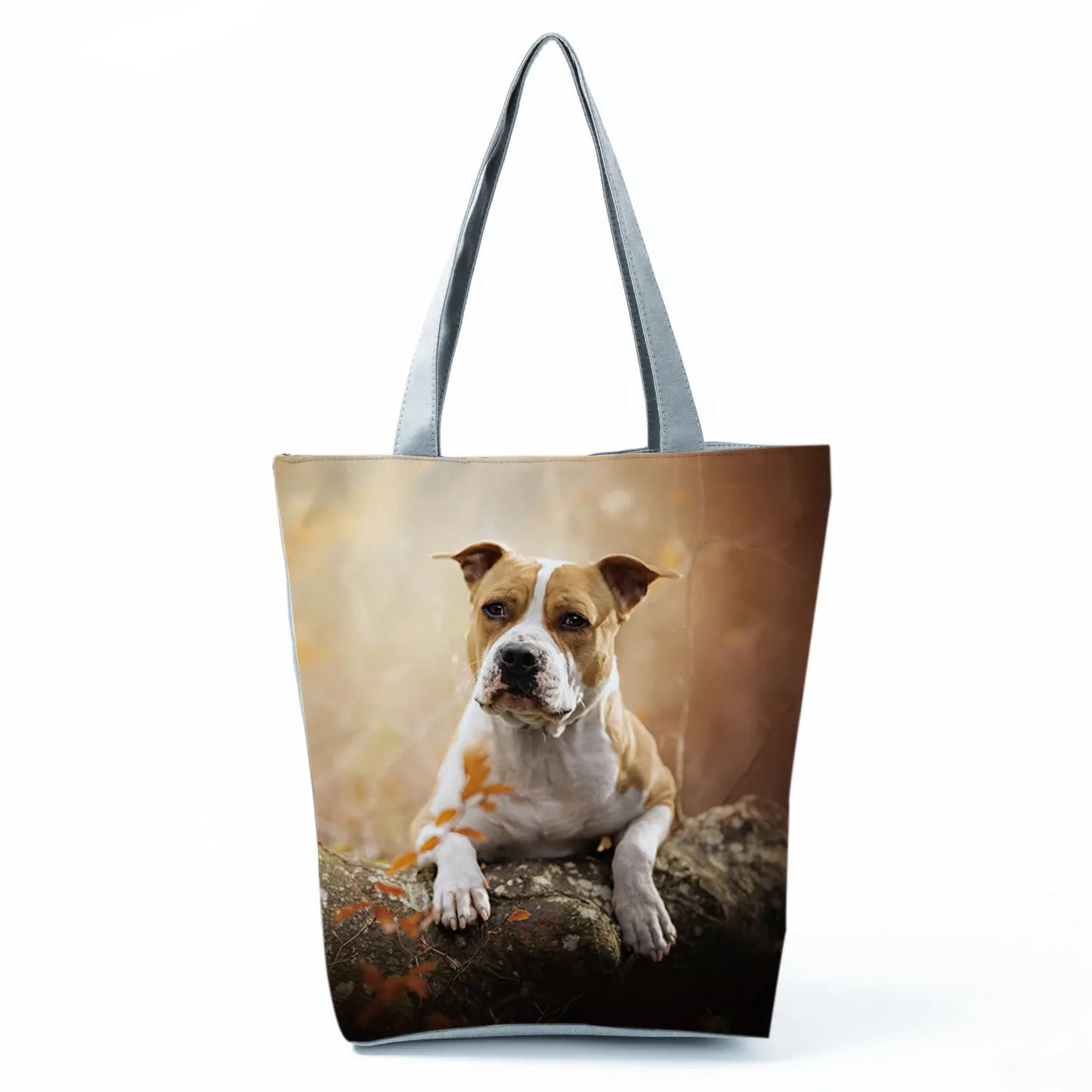 Borsa Cani Maggio 2026
