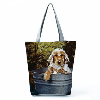 Borsa Cani Maggio 2026