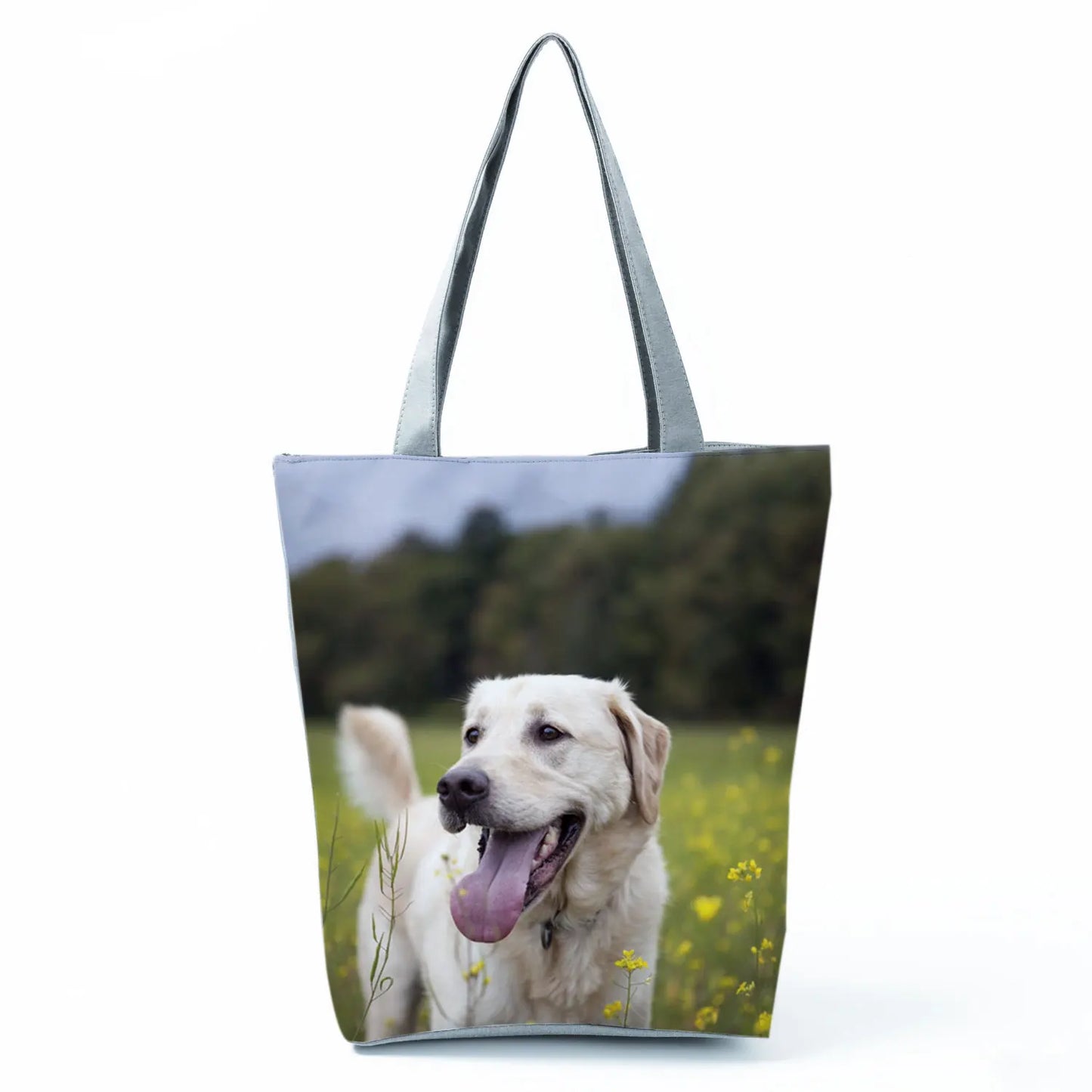 Borsa Cani Maggio 2026